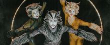 Meet the Cast of CATS At Paramount Theatre