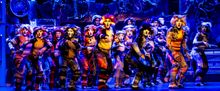 Photo/Video: CATS Comes To Life At Algonquin Arts Theatre