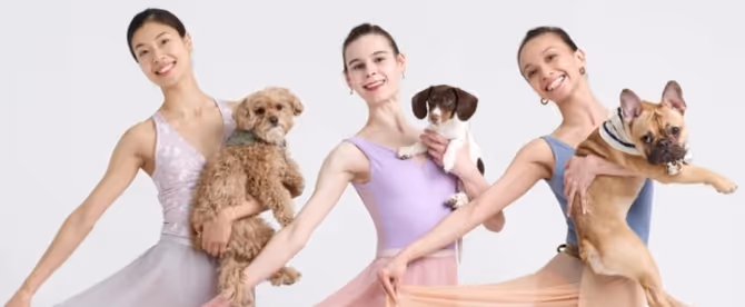 Review: GRACE TO THE RESCUE Was a Night Celebrating Love, Animals, and Dance