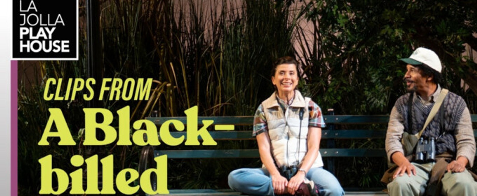 Video: Peek Inside A BLACK-BILLED CUCKOO at La Jolla Playhouse
