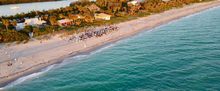 Sam Beam and Lindsey Ferrentino Join Hermitage Beach Program
