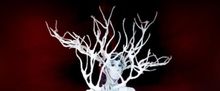 MAN WOMAN Butoh Performance by Vangeline to Play Schwarzman Centre