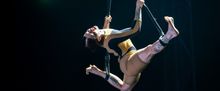 WOLF by CIRCA to Return to Edinburgh Festival Fringe