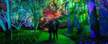 Brooklyn Botanic Garden's LIGHTSCAPE