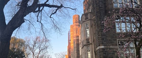 Student Blog: The Sun as Your Spotlight