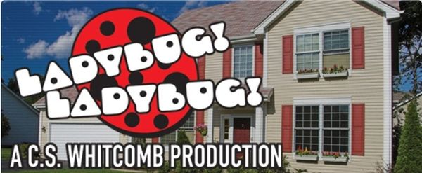 Review: LADYBUG! LADYBUG! at Lakewood Theatre