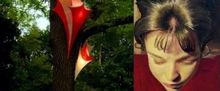 Kaatsbaan Cultural Park to Present Sixth Annual Visual Arts Exhibition EARTHLY DELIGH