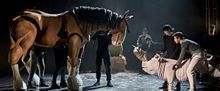 Check Out New Images of ANIMAL FARM UK Tour