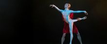 Melissa Hamilton to Curate Ballet Evening at Grange Park Opera