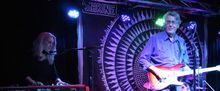 Bees Deluxe to Return to the Shrine World Music Venue in Harlem