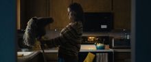 Teaneck International Film Festival to Present NJ Premiere of HORSEGIRLS