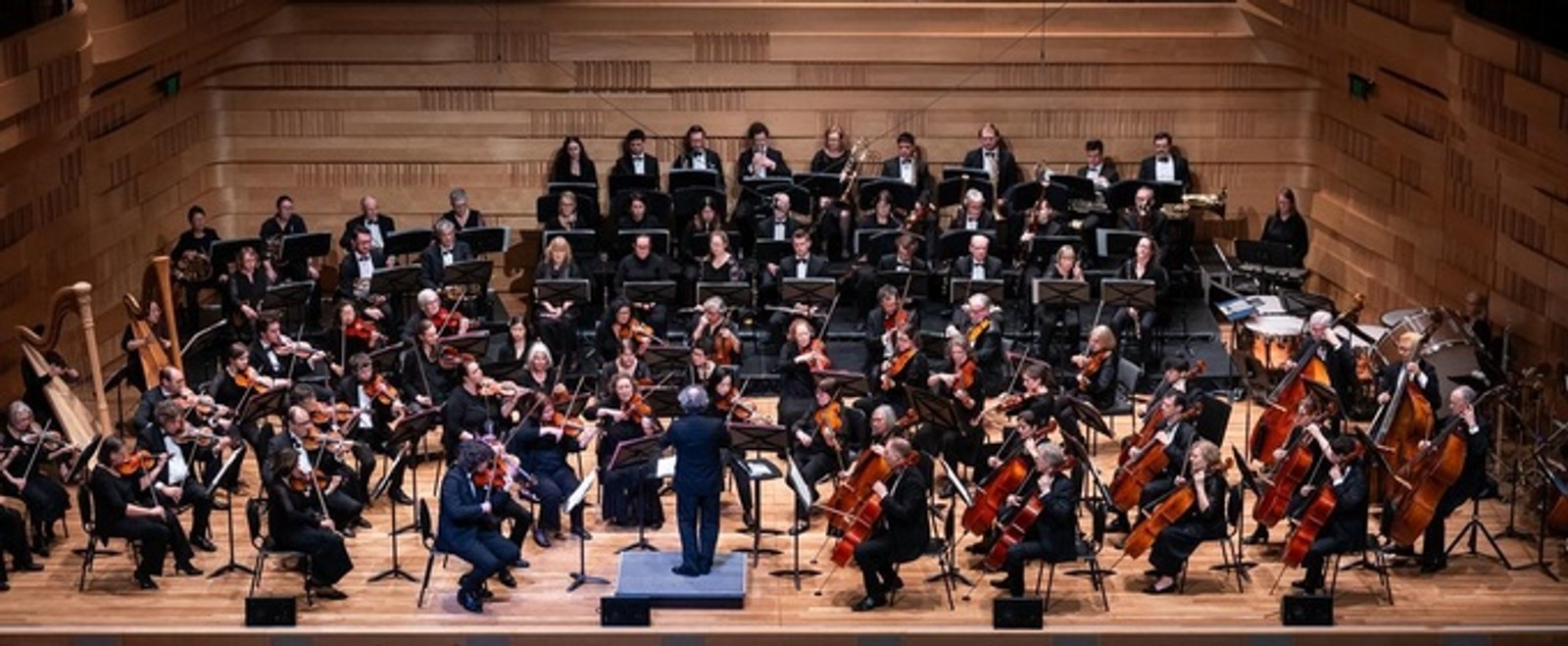 Ku-ring-gai Philharmonic Orchestra to Perform SPIRITED AWAY Film and Video Game Music Concert