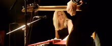 BEES DELUXE, MICHAEL GOSS BAND to Play Double-Bill Show at Colony Woodstock