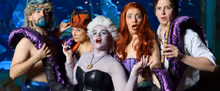 Flash: The Cast of Birmingham Hippodromes UNFORTUNATE Goes Shark Diving at Bear Gryll