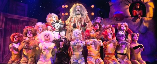 Review: CATS at Broadway Palm Dinner Theatre