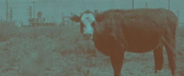 GEONNITUS is Now Playing at Teatro Colon