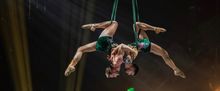 Royal Countess Zingara Extends Season, Adds New Acts in Cape Town