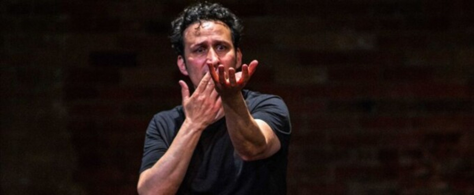 HAMLET (SOLO) to Return to Theatre Passe Muraille as Fundraiser