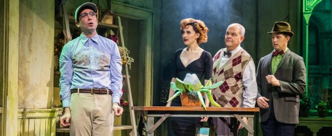 Photos: First Look at Matt Doyle as 'Seymour' in LITTLE SHOP OF HORRORS Photos