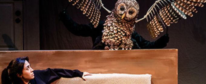 YAMEL CUCUY to Return to Latino Theater Company This Fall