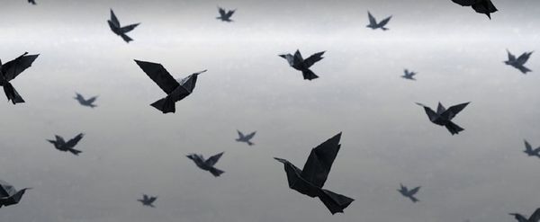 The Thessaloniki State Symphony Orchestra Will Perform a Concert For Peace