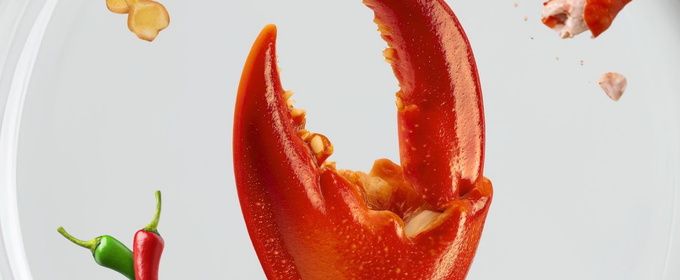 Dark Comedy A PERFECT DISH to be Presented at Peckham Fringe 2026