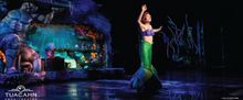 THE LITTLE MERMAID at Tuacahn Center for the Arts