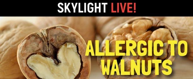 BWW Review: ALLERGIC TO WALNUTS at Skylight Theatre Photos