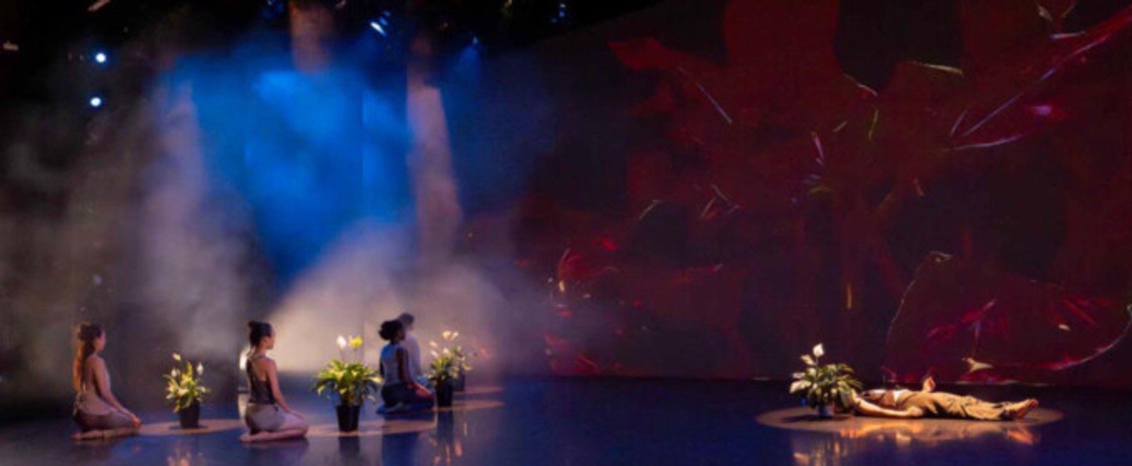 WHITE WAVE Dance Receives $125,000 Matching Gift From John C. Ryan