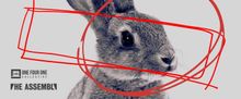 WHITE RABBIT RED RABBIT Returns to Toronto at the Assembly Theatre