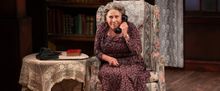 Judy Kaye, Bernard Dotson and Jim Poulos in DRIVING MISS DAISY at Theatre Aspen