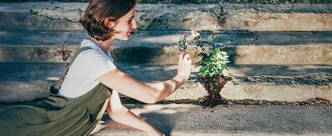 POP UP GARDEN Will Come to Salon Stolz in July