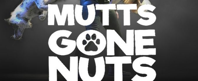 MUTTS GONE NUTS to Come to Westport Country Playhouse Family Festivities Series