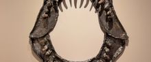 TheaterWorks Hartford to Present THE FILING CABINET Gallery Exhibition