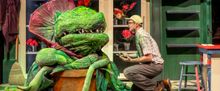 Music Theater Works' LITTLE SHOP OF HORRORS