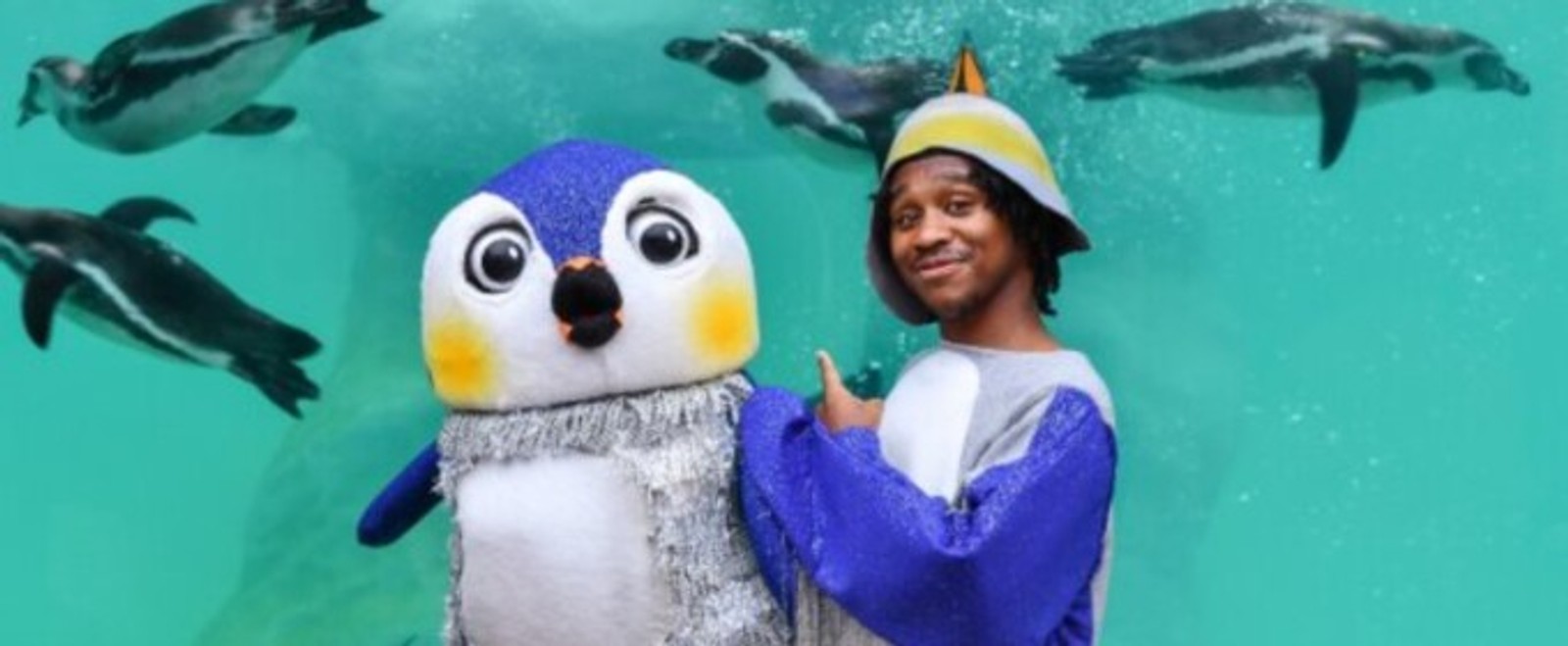 ONE TINY PENGUIN Will Open at Birmingham Hippodrome