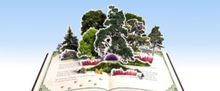 Further Details Revealed For Cultural Celebrations in Ashdown Forest For Winnie-The-P
