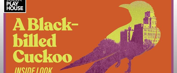 Video: A BLACK-BILLED CUCKOO at La Jolla Playhouse: Jess and Eric Talk
