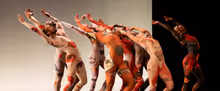 Hudson Valley Dance Festival Raises $236,189 for Dancers Responding to AIDS