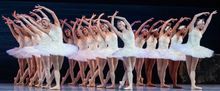 Nashville Ballet's SWAN LAKE Enthralls at Tennessee Performing Arts Center