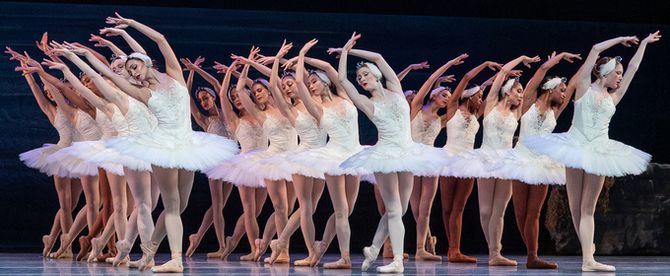 Photos: Nashville Ballet's SWAN LAKE Enthralls at Tennessee Performing Arts Center