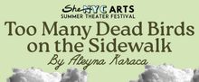 TOO MANY DEAD BIRDS ON THE SIDEWALK to Make Off-Broadway Debut at SheNYC Festival