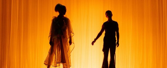 BWW Review: ONLY AN OCTAVE APART at St. Ann's Warehouse Photos