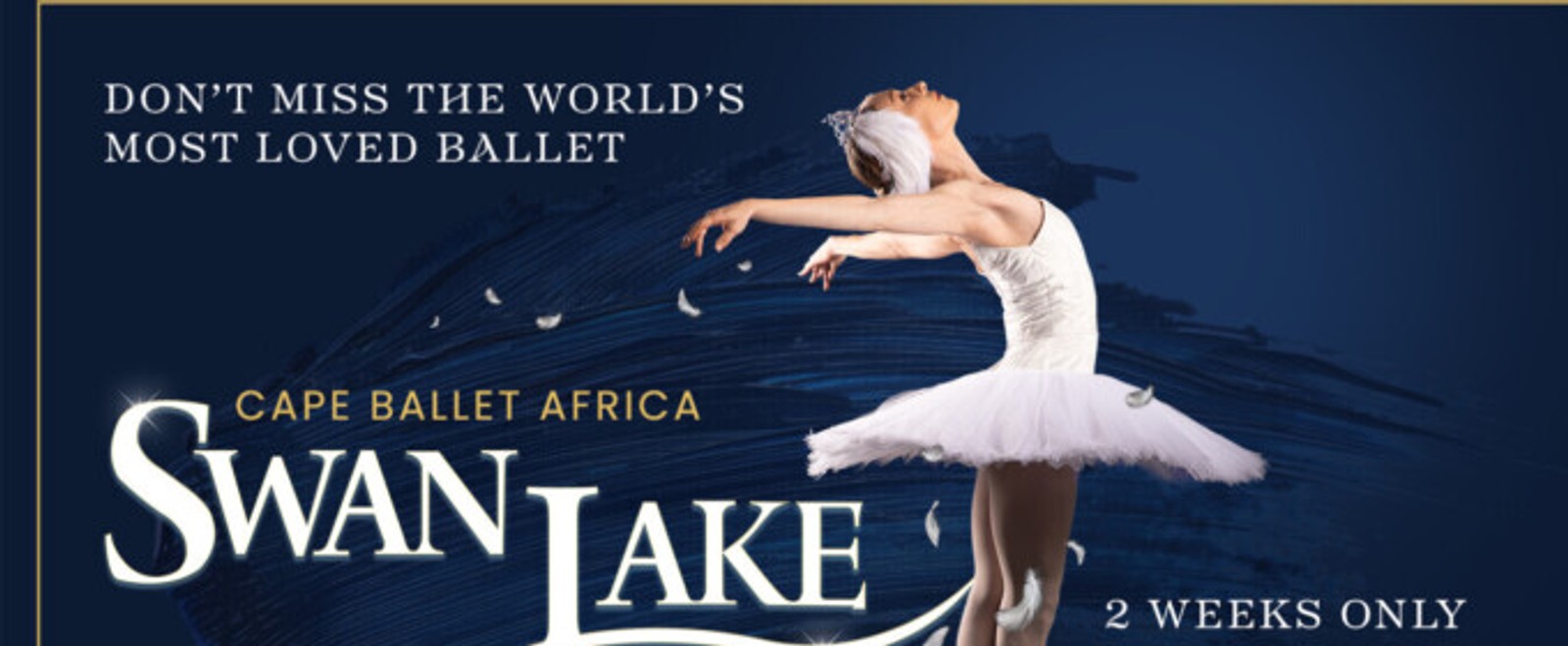 Photos: Swan Lake to Open at Artscape Following Johannesburg Success