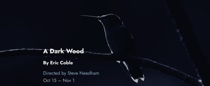 Cast and Creative Team Set For A DARK WOOD Chicago Premiere at Tin Drum Theatre Company