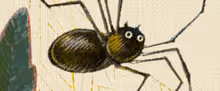 ANANSI THE SPIDER Will Open at Curio Theatre Company
