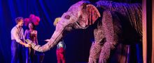 WATER FOR ELEPHANTS National Tour Comes To Zions Bank Broadway At The Eccles
