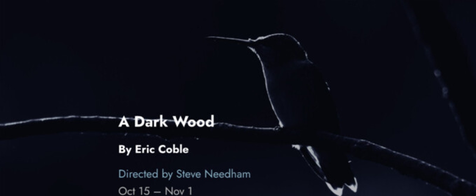 A DARK WOOD Tickets to Go On Sale for Tin Drum Theatre's Chicago Premiere