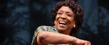 First Look at FANNIE at Goodman Theatre