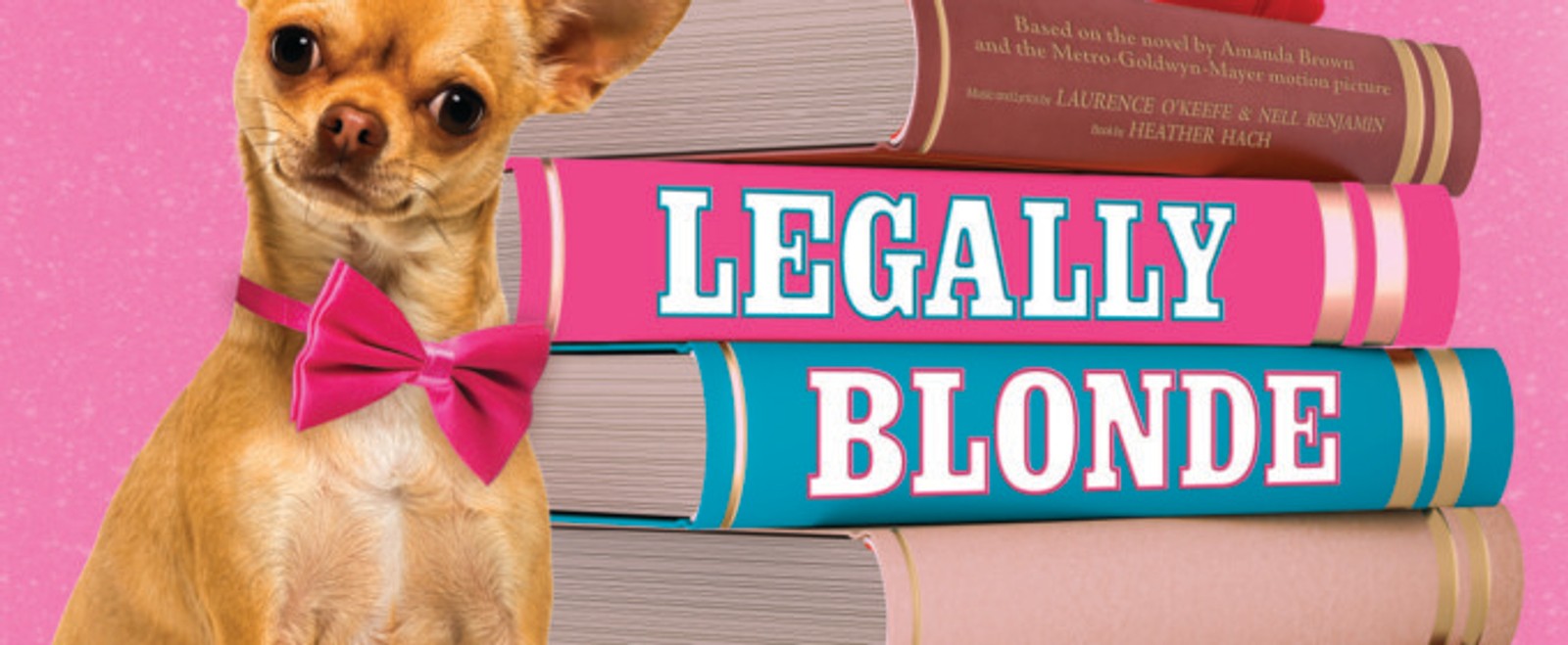 LEGALLY BLONDE Will Open at The Everyman With MTU Musical Theatre Students